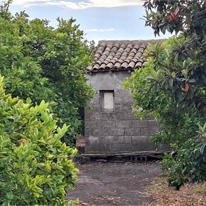 Terreno Agricolo In Vendita a Acireale