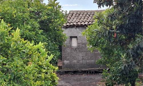 Terreno Agricolo In Vendita a Acireale